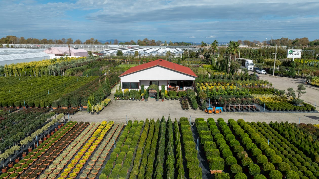 What to Know Before Creating Your Own Greenhouse